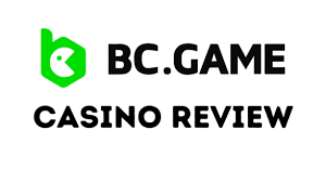 Understanding BC Game’s Verification Process KYC Explained
