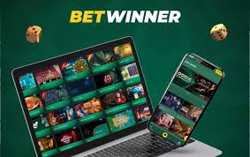 Exploring BetWinner A Comprehensive Guide to Online Betting 2018039925