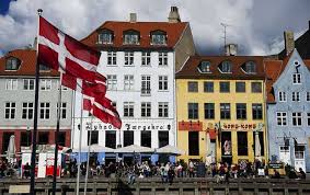 Køb Dyreartikler Og Tilbehør Online – Alt Til Dine Kæledyr