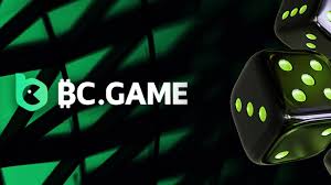 Understanding BC.Game Terms & Conditions for Players